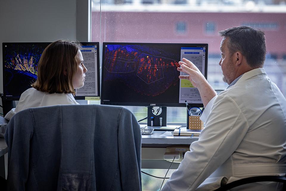 Richard DiPaolo, Ph.D., professor and chair Molecular Microbiology and Immunology, reviews data on a computer screen. 